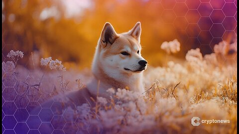 Grayscale Introduces Dogecoin Investment Fund Available to Institutional Investors