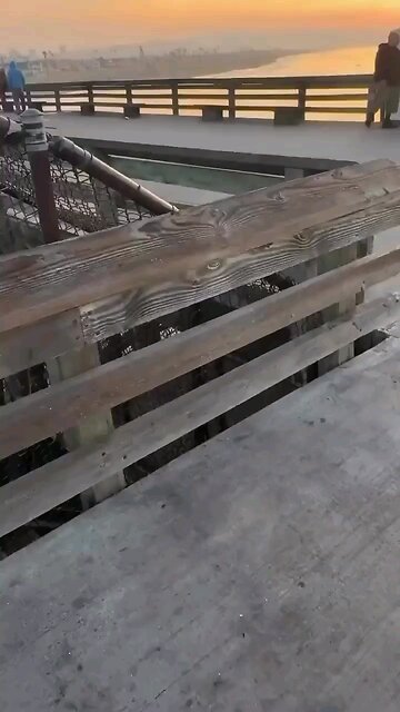 Suspect killed in police shooting on Newport Beach Pier