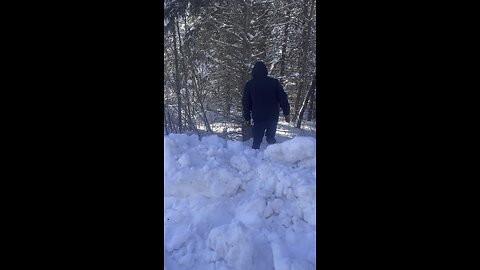 Marten Trapping w/ Students