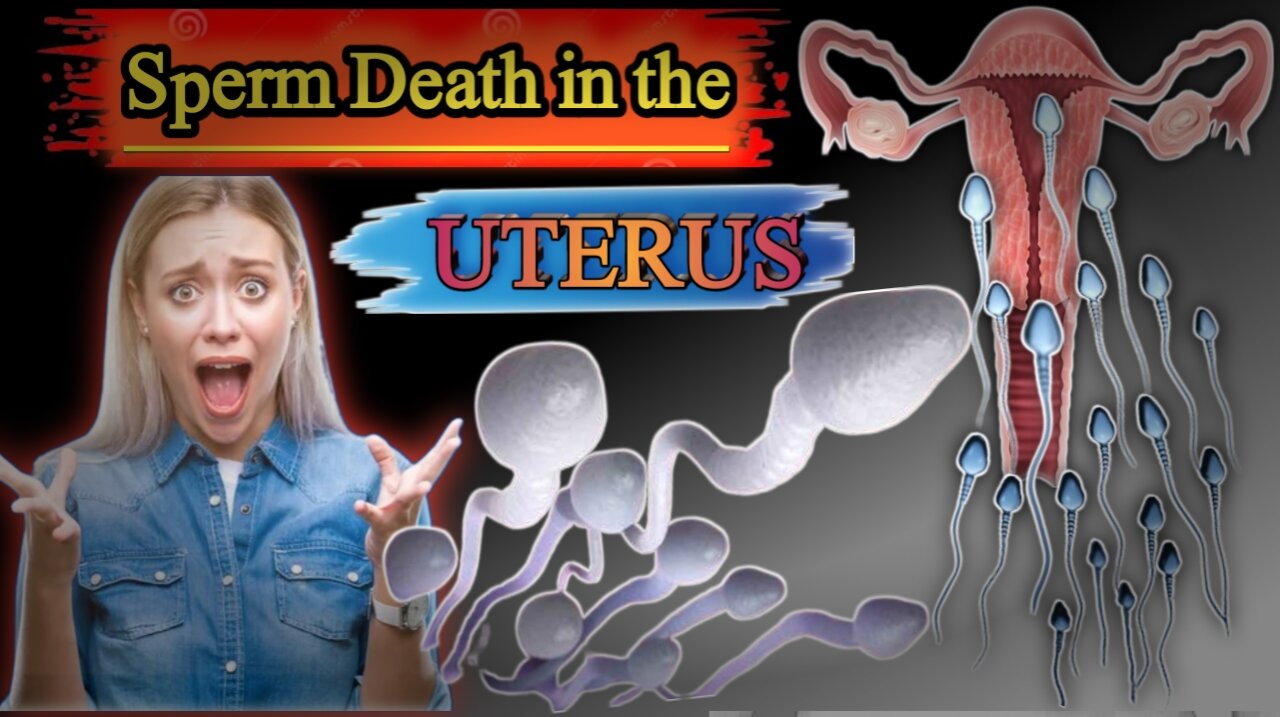 "What Happens to Sperm in the Uterus? | Sperm Death Explained"