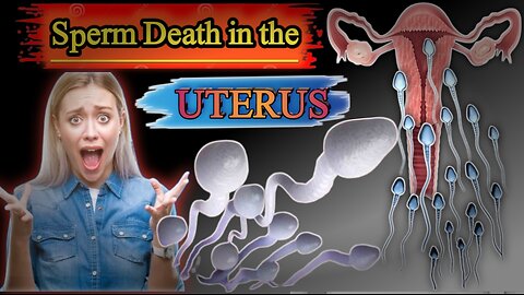 "What Happens to Sperm in the Uterus? | Sperm Death Explained"