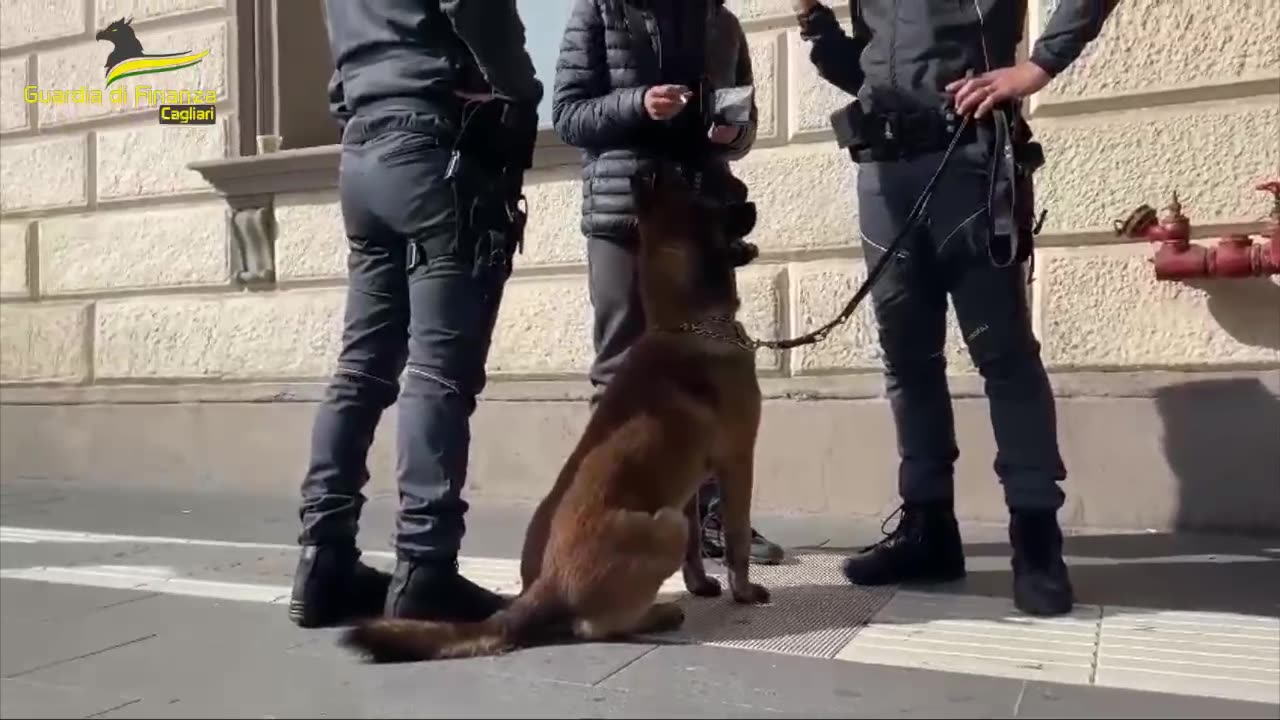 GDF CAGLIARI: ADDIO A DEMON, IL CANE ANTIDROGA DELLA GUARDIA DI FINANZA. (23.02.25)