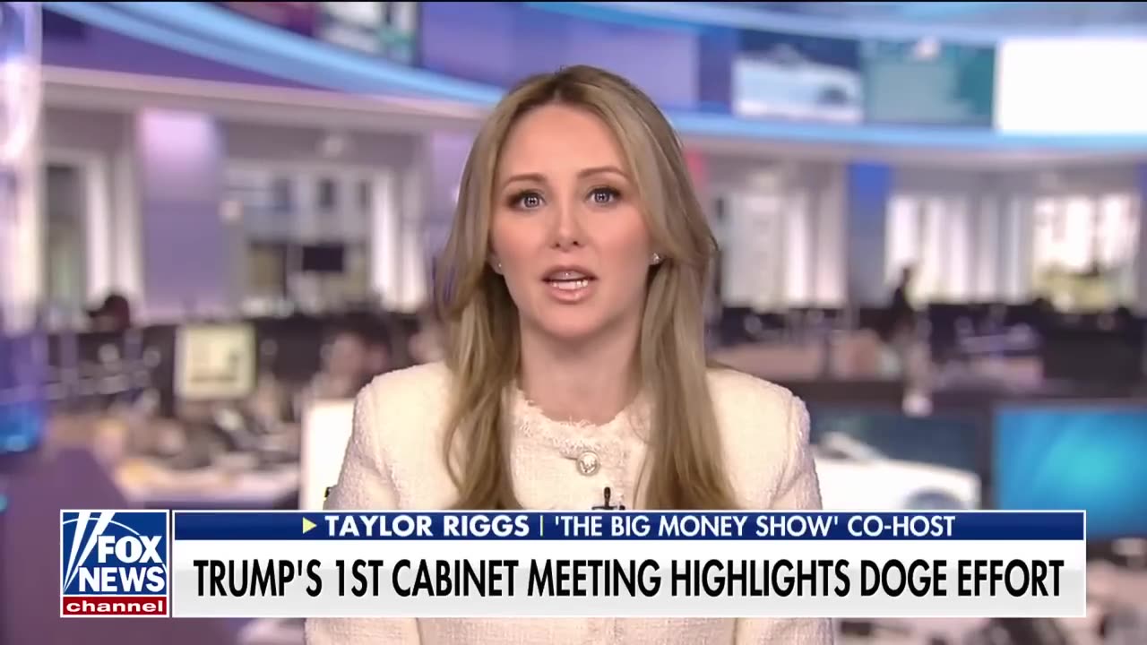 DOGE efforts to tackle debt are 'now are never,' FOX Business host says