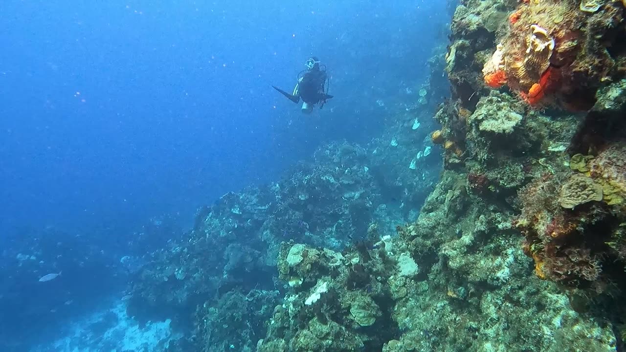 Cozumel, Mexico scuba diving part 3