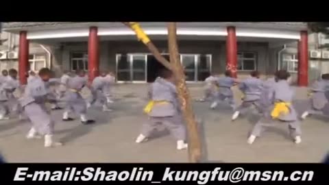 Best Chinese Movies Kungfu Training Scene HD 2017 #Best Kungfu Movie