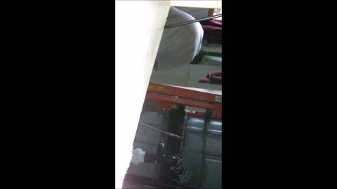 Over 100 Gallons Of Rain Caught & Flooded