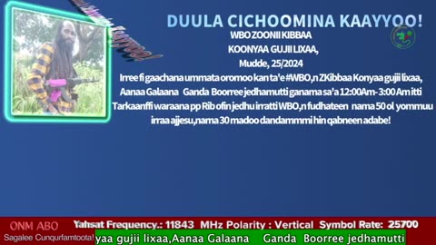 Gabaasa tarkaanfii ONM-ABO Muddee 25-2024 itti dhiyaadhaa!