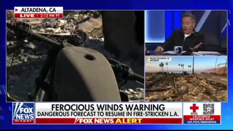 Gutfeld: Newsome saying that this is being politicized by Trump is a sham