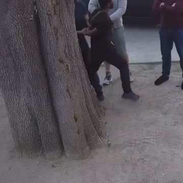 A MAN WITH A BLOWTORCH HAS BEEN ARRESTED BY POLICE NEAR THE KENNETH FIRE IN WEST HILLS, CALIFORNIA