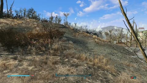 Fallout 4: Harlie 11
