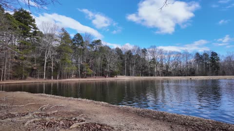 Sitting On A Bench At The Lake At Dan Nicholas Park