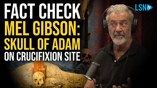 Fact-checking Mel Gibson on Joe Rogan