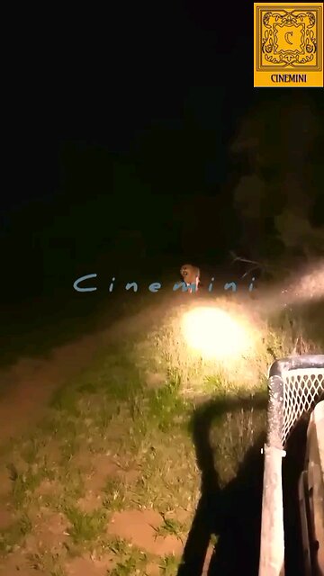 live wildlife lion attack man on night