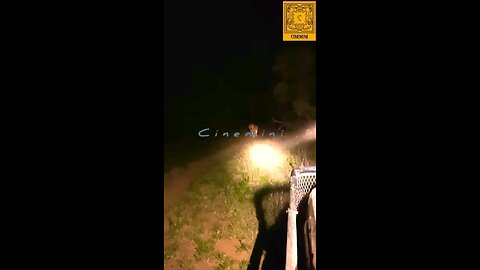 live wildlife lion attack man on night