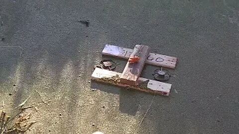 First day of muskrat season! Putting my traps out.