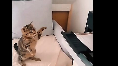 Funny Cats And Dogs Part 44
