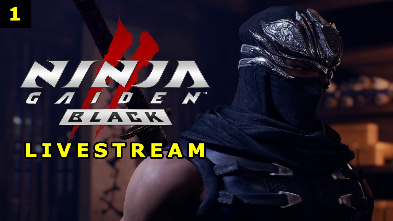 Ninja Gaiden 2 Black - This Game is Crazy! Gameplay Walkthrough