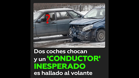 Perro inquieto grabado al volante tras choque en la carretera