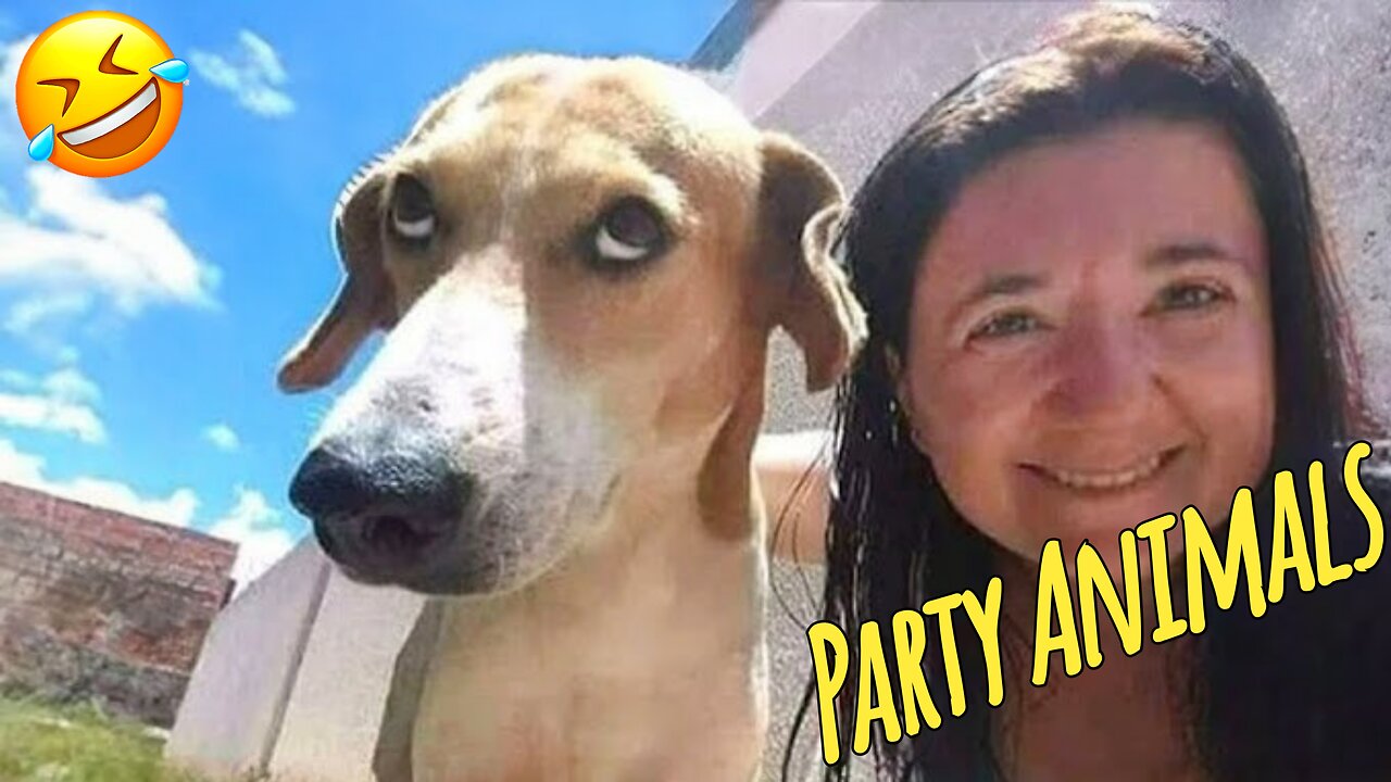 New Funny Cats And Dogs Videos 2025 | Best Funniest Animal Videos | Party Animals,