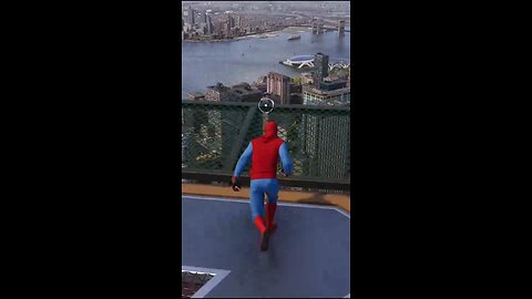 Spider swings