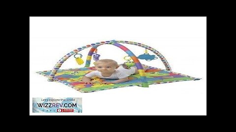 Playgro Large Activity Play Linking Animal Friends Playgym Review