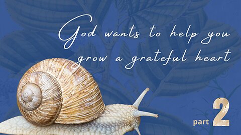 God wants to help you grow a grateful heart - Prophetic video series - Part 2 of 2