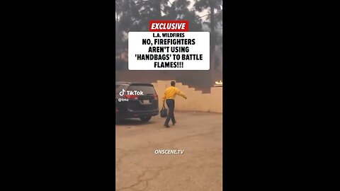 TMZ Debunks Fireman Using 'Handbags' to Put Fires Out in California? 🤔
