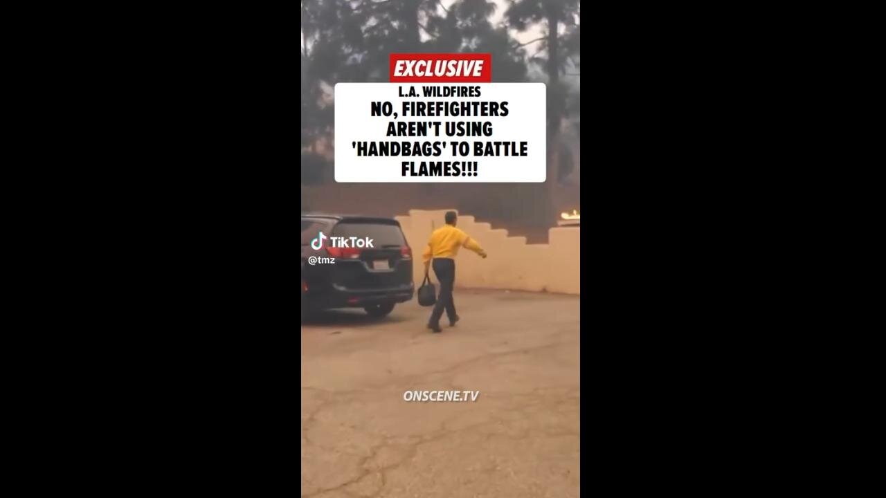 TMZ Debunks Fireman Using 'Handbags' to Put Fires Out in California? 🤔