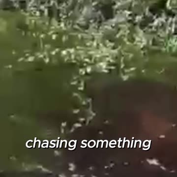 Man Jumps Half-Naked Into a Ditch… What He Pulls O