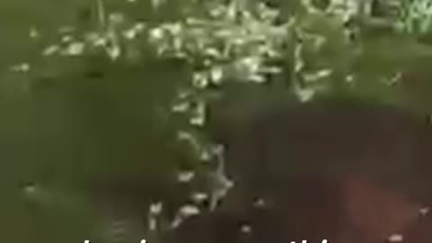 Man Jumps Half-Naked Into a Ditch… What He Pulls O
