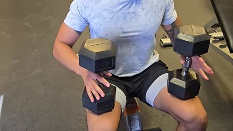 Chest Press Dumbells