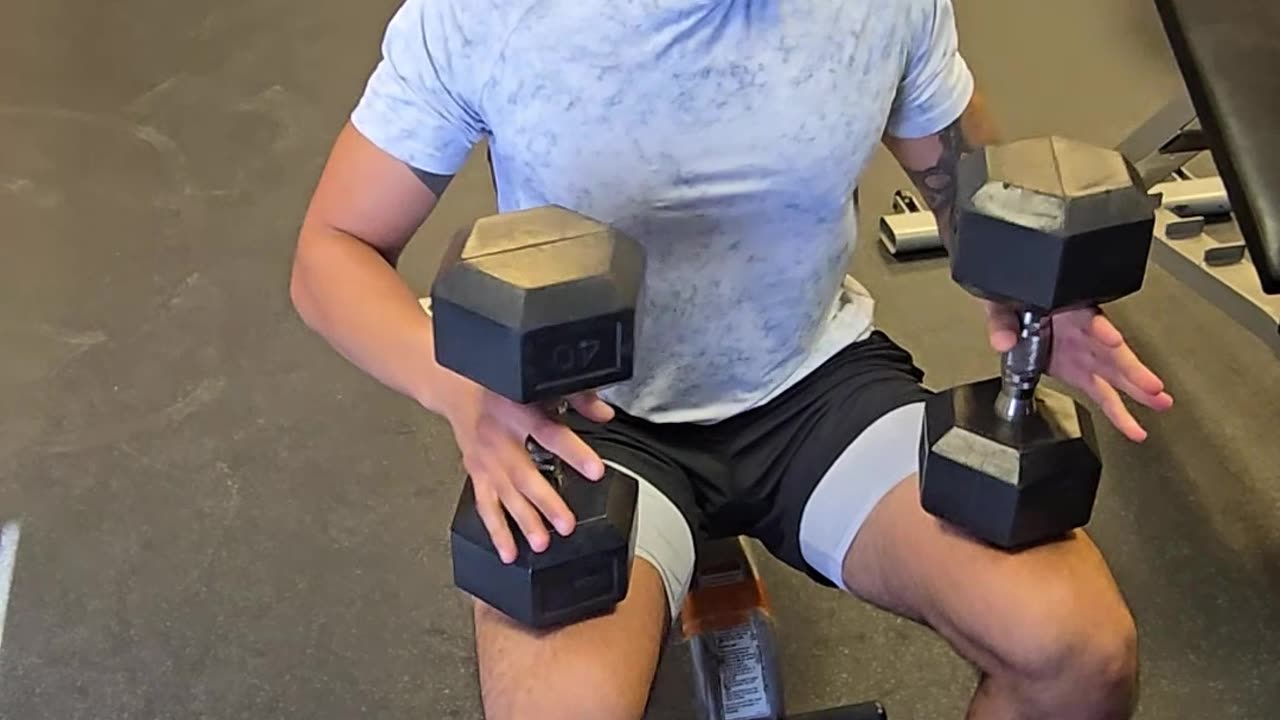 Chest Press Dumbells