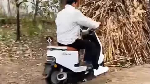 Ruksha fun