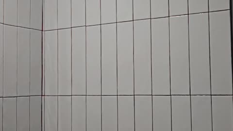 Washroom Project ( part 3 )