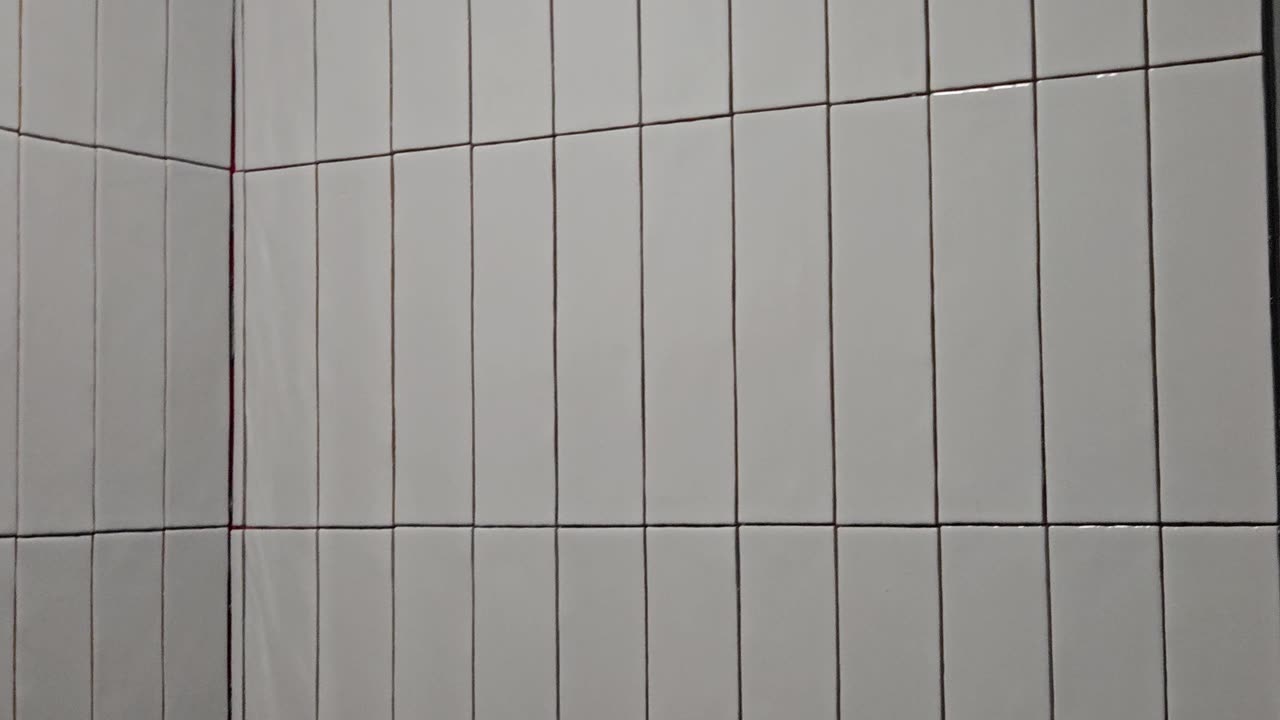 Washroom Project ( part 3 )