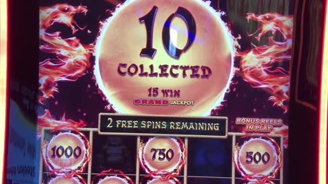 Dragon Link Bonus Time! 🐉🎰💰