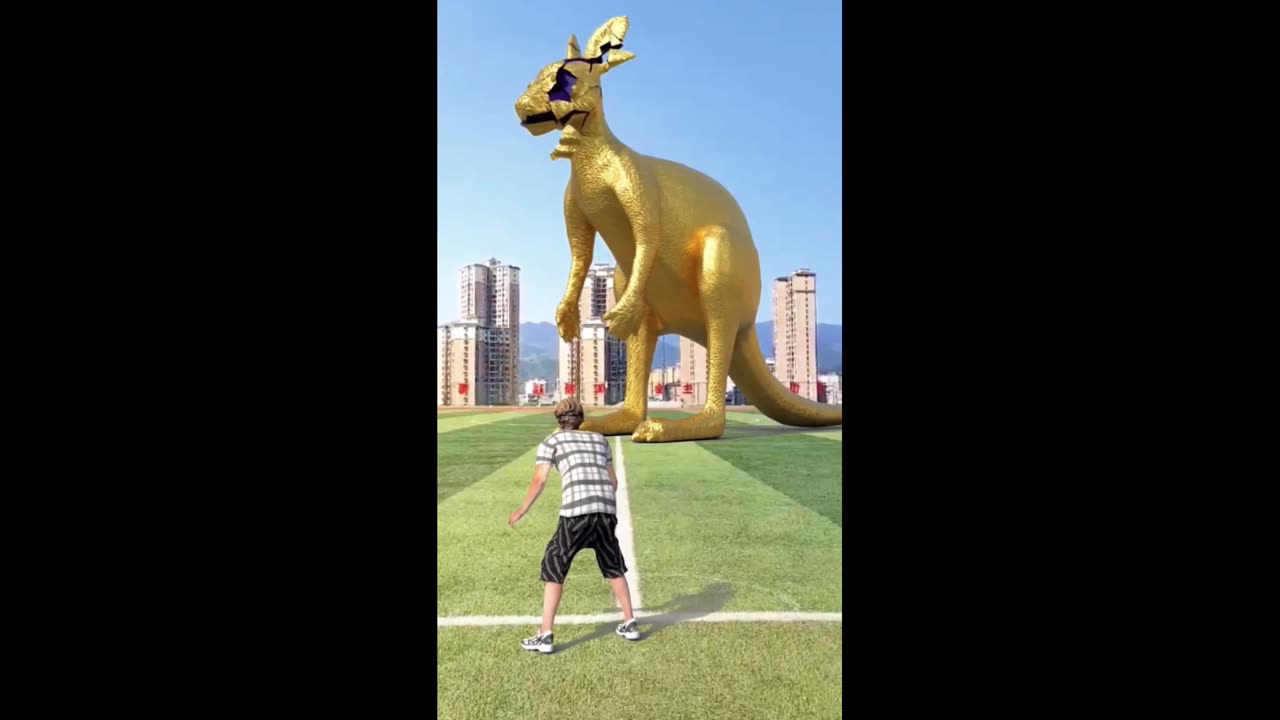 Kangaroo statue revealing by football