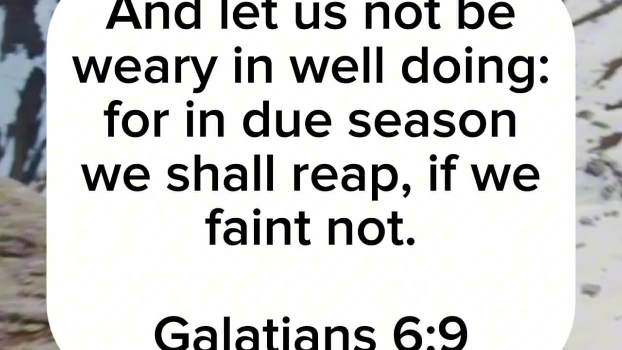 Galatians 6:9 | Start your day with Scripture