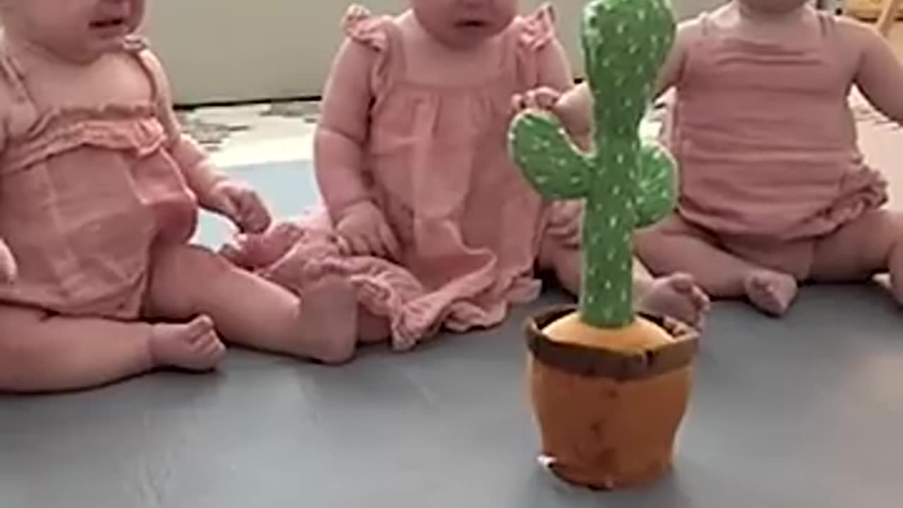 Triplets Cry At Talking Cactus Toy 😂