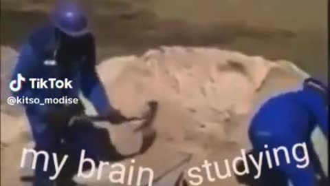 My brain when I'm trying to study