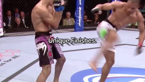 Unique Fighting UFC