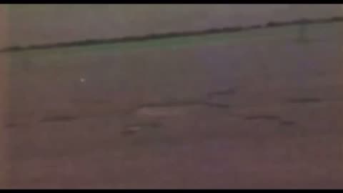 VHS video appears to capture orbs making crop circles before the days of CGI