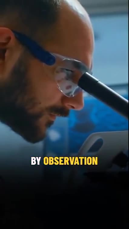 COULD EVERYTHING WE THOUGHT ☤ ABOUT ILLNESS TRANSMISSION BE WRONG❓