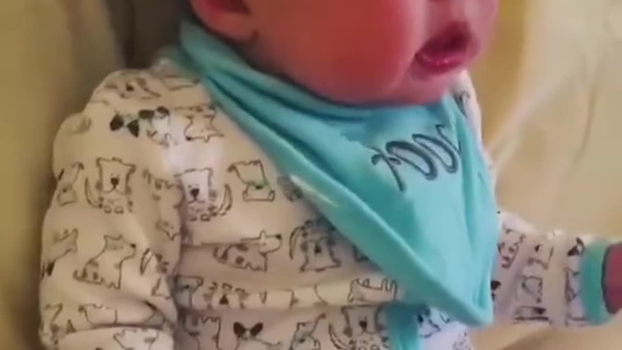 Fart Babies a Dog's Worst Nightmare