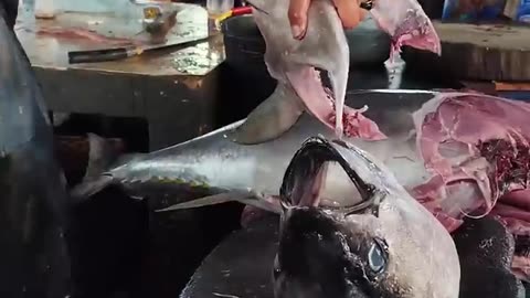 Amazing skills! expert cuts large tuna using a sharp machete #tuna #seafood #2025