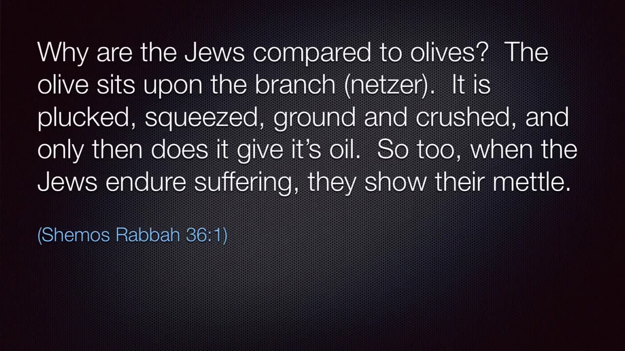 Torah Portion Teaching: Tetzaveh