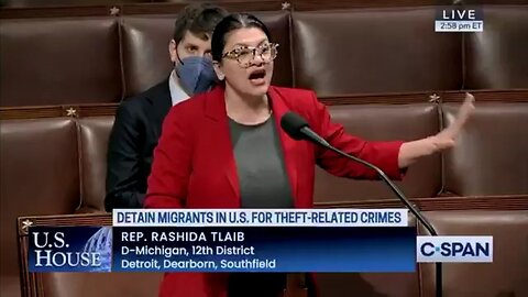 Rep. Rashida Tlaib Rants Against Law That Would Detain Illegal Immigrants For Theft