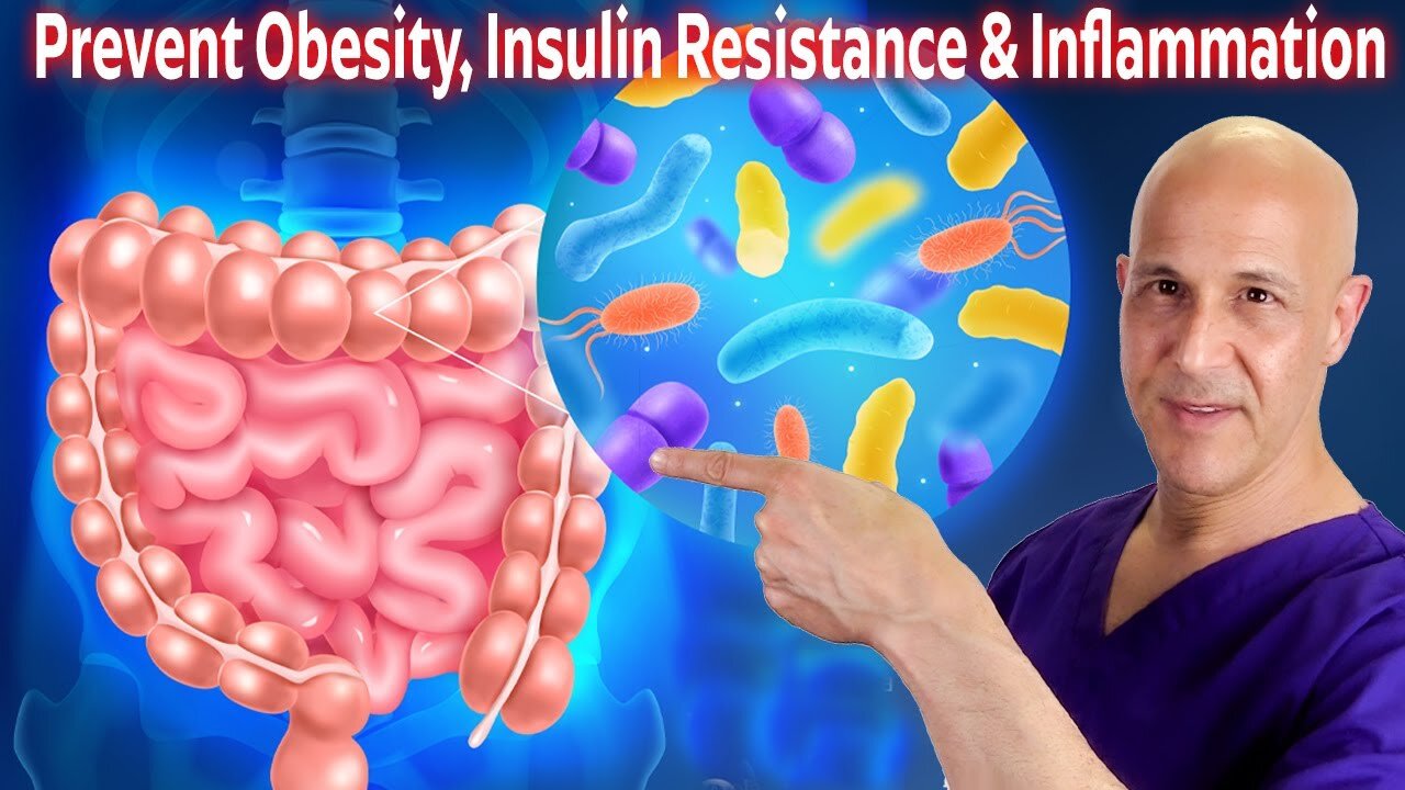 The Miracle Carb That Nourishes Good Bacteria – Fights Obesity, Insulin Resistance & Inflammation!