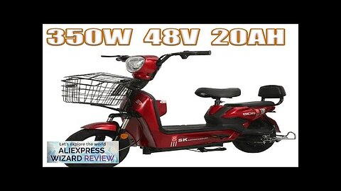 E Bike 350W Brushless Motor 36V20AH Removable Battery Aldult City Trip Electric Review