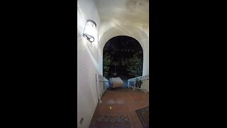 Porch pirate tries to steals package and gets roasted by the owner